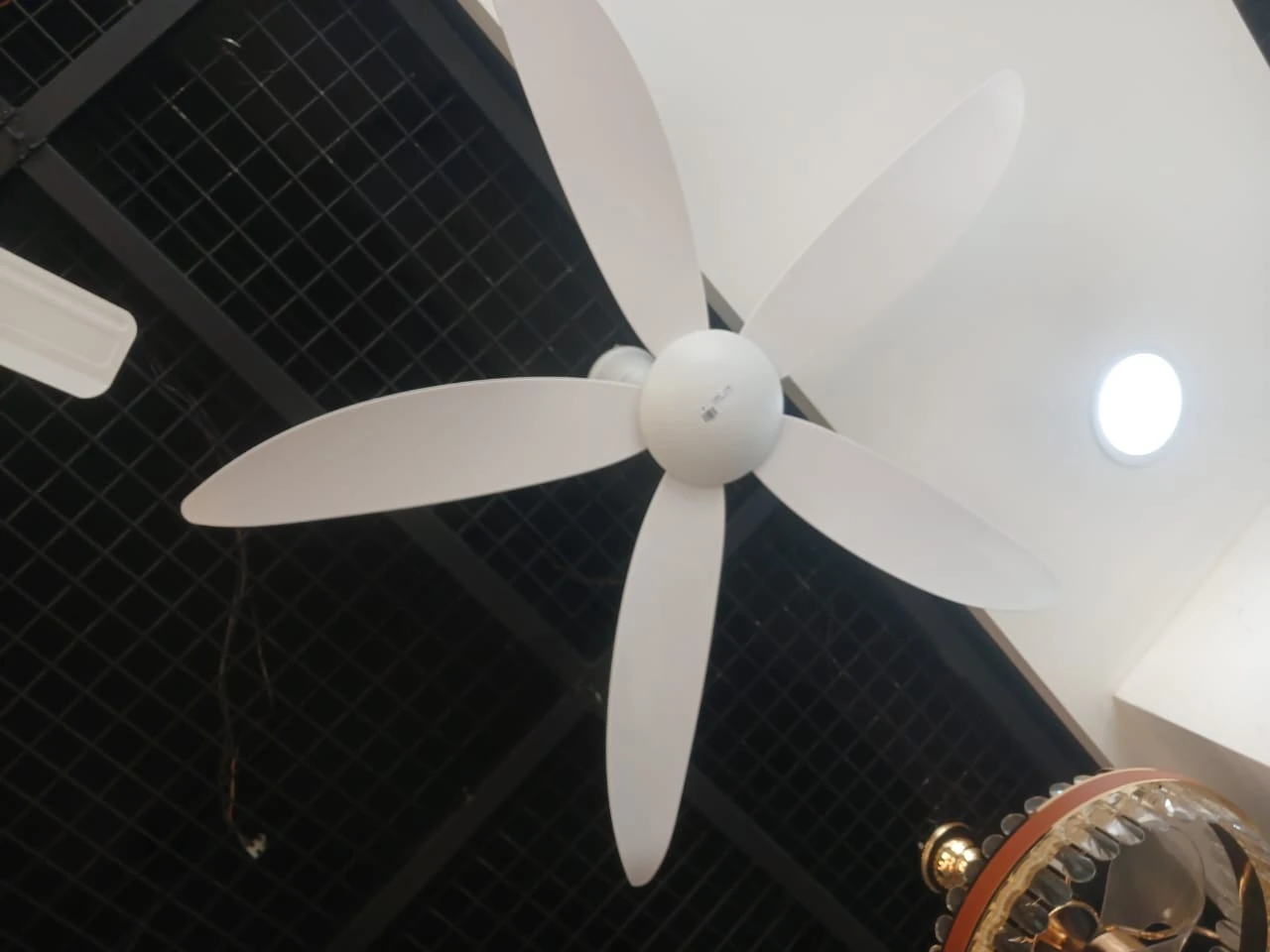 Benlee Company Ltd – Building Dreams, Powering Progress